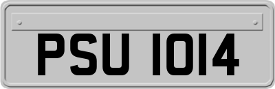 PSU1014