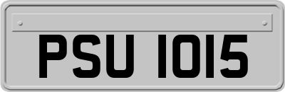 PSU1015