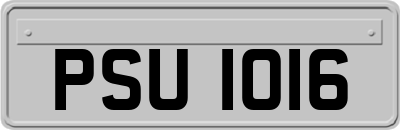 PSU1016