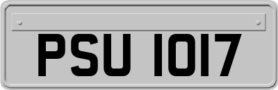 PSU1017