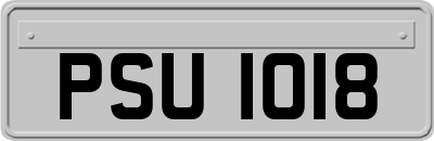 PSU1018