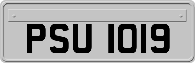 PSU1019