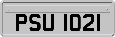 PSU1021