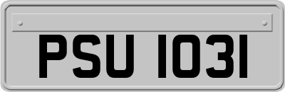 PSU1031