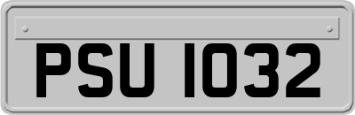 PSU1032