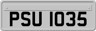 PSU1035