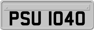 PSU1040