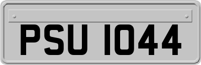 PSU1044
