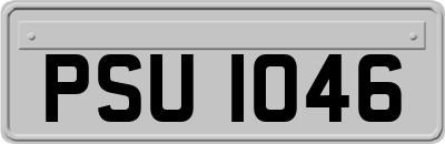 PSU1046