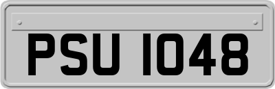 PSU1048