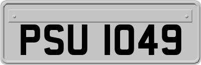 PSU1049