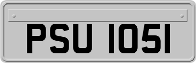 PSU1051