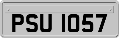 PSU1057