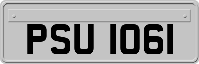 PSU1061