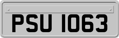 PSU1063