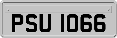 PSU1066