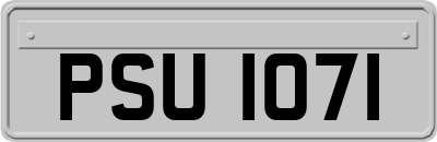 PSU1071