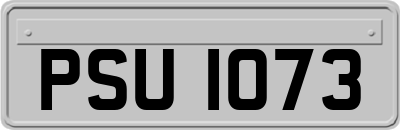 PSU1073