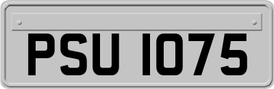 PSU1075