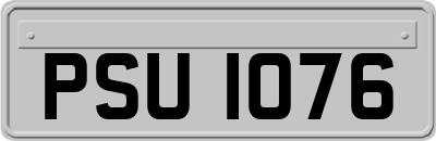 PSU1076