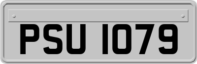 PSU1079