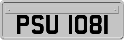 PSU1081