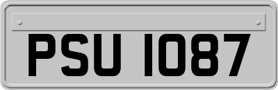 PSU1087