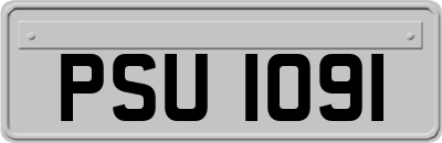 PSU1091