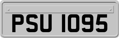 PSU1095