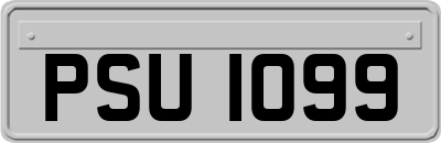 PSU1099