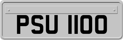 PSU1100