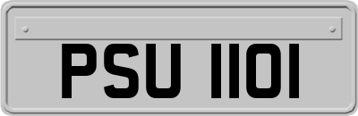 PSU1101