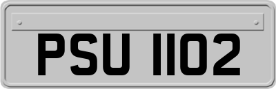 PSU1102