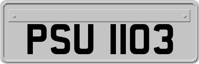 PSU1103
