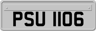 PSU1106