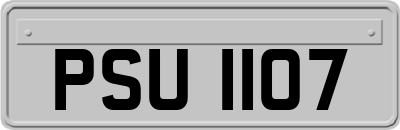 PSU1107
