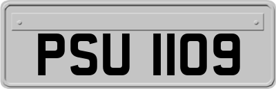 PSU1109