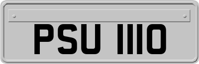 PSU1110