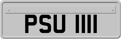 PSU1111