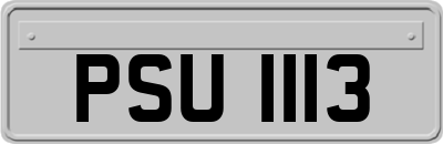 PSU1113