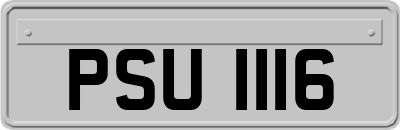 PSU1116