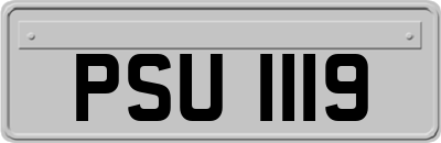 PSU1119
