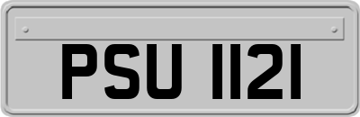PSU1121