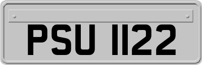 PSU1122