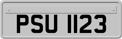 PSU1123