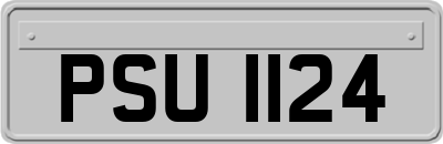 PSU1124