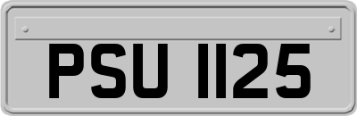 PSU1125