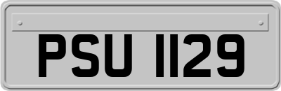 PSU1129
