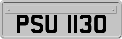 PSU1130