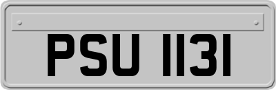 PSU1131